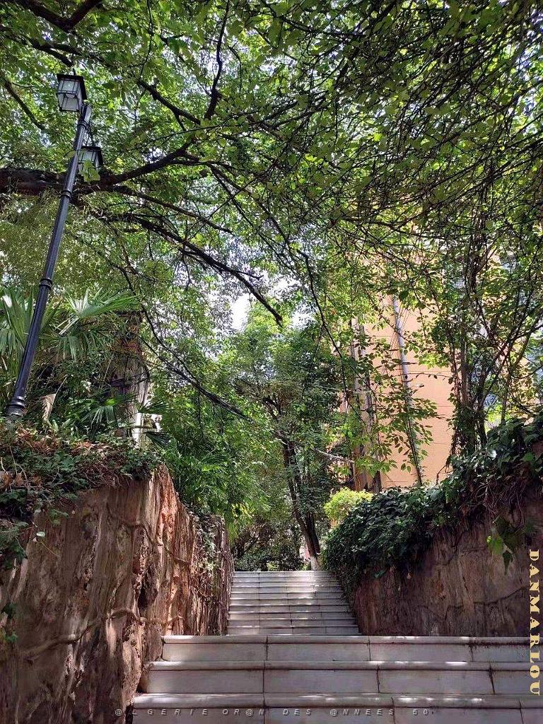 Kunming - Universite du Yunnan (63).jpg